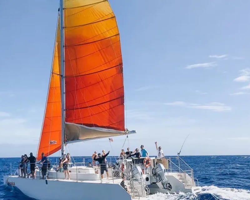 Turtle Canyon Snorkel Sail From Waikiki Beach