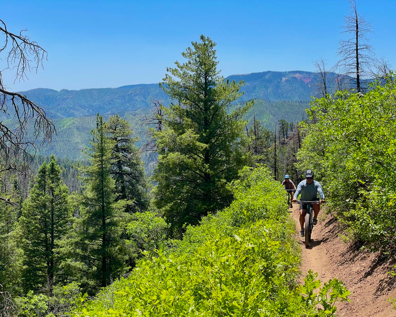 18-Mile Hermosa Creek Trail Mountain Bike Tour Near Durango