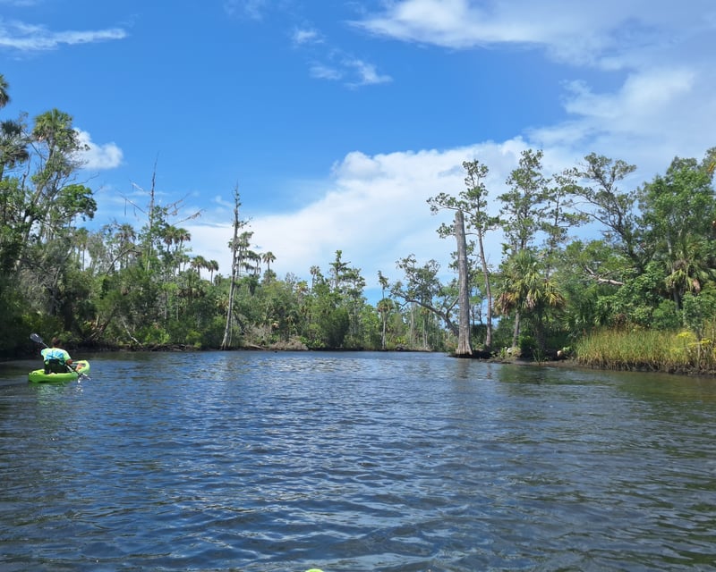Gulf Hammock Swamp Kayaking Tour on the Waccasassa River