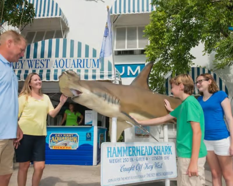 Key West Aquarium Admission with Touch Pool & Sharks