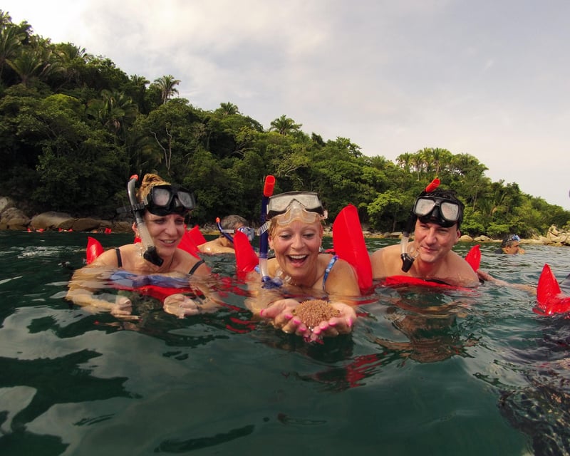Private Los Arcos Snorkeling Tour From Puerto Vallarta