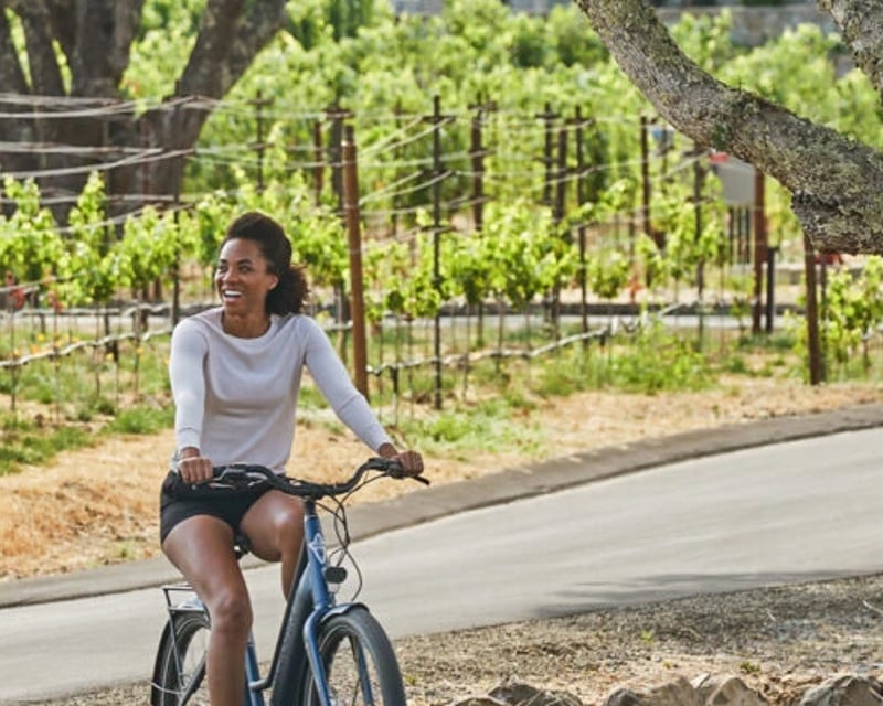 Guided Verde Valley E-Bike Vineyard Tour