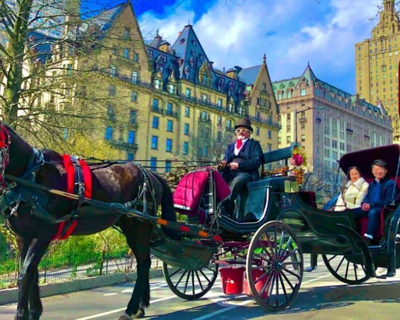 Central Park Carriage Tour With Photo Stops