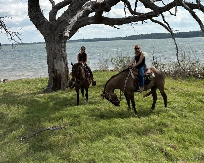 Private Guided Horseback Ride at Lake Waco