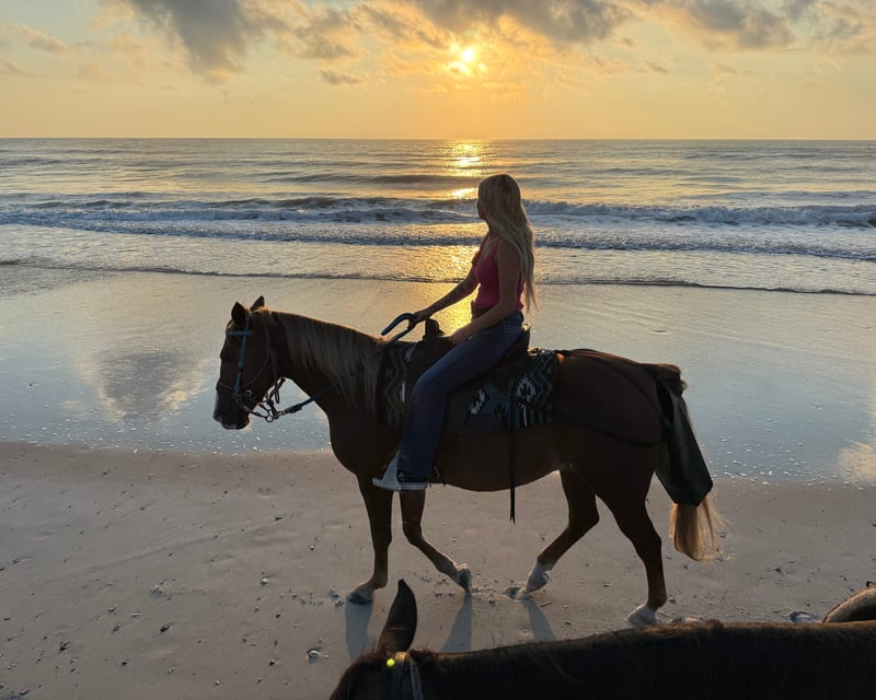 Sunset Beach Horseback Ride in Fernandina Beach