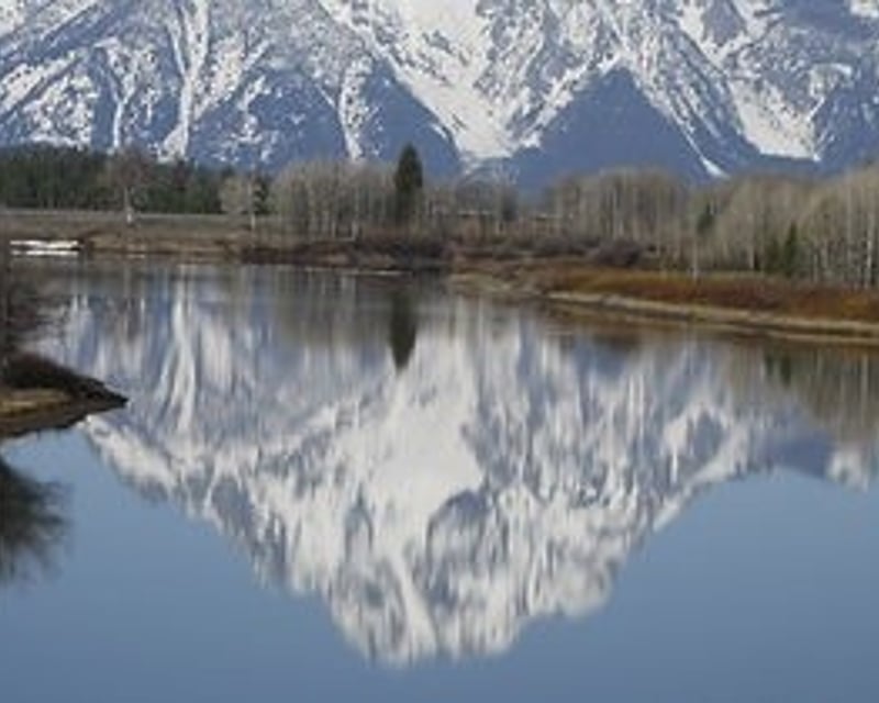 Grand Teton National Park Guided Van Tour from Jackson