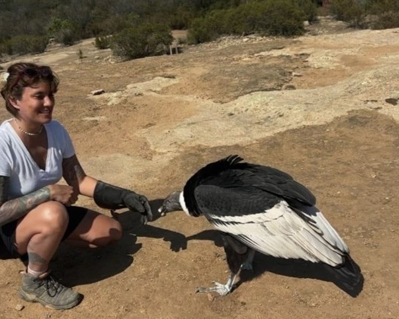 Escondido 3-Hour Bird Experience