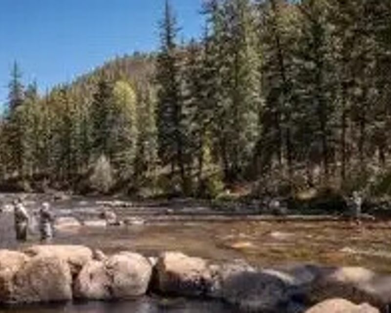 Half-Day Walk & Wade Fly Fishing on the Taylor River