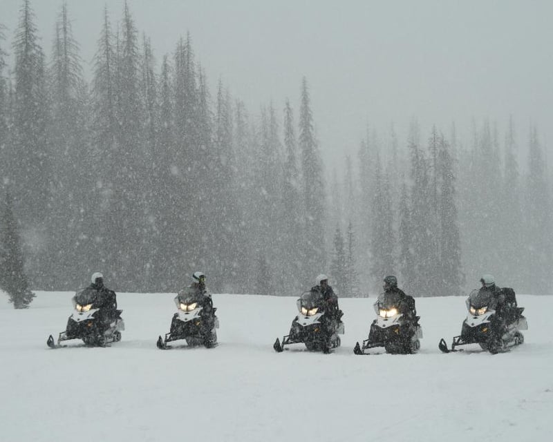 2 Hour Scenic Snowmobile Tour in the San Juan Mountains