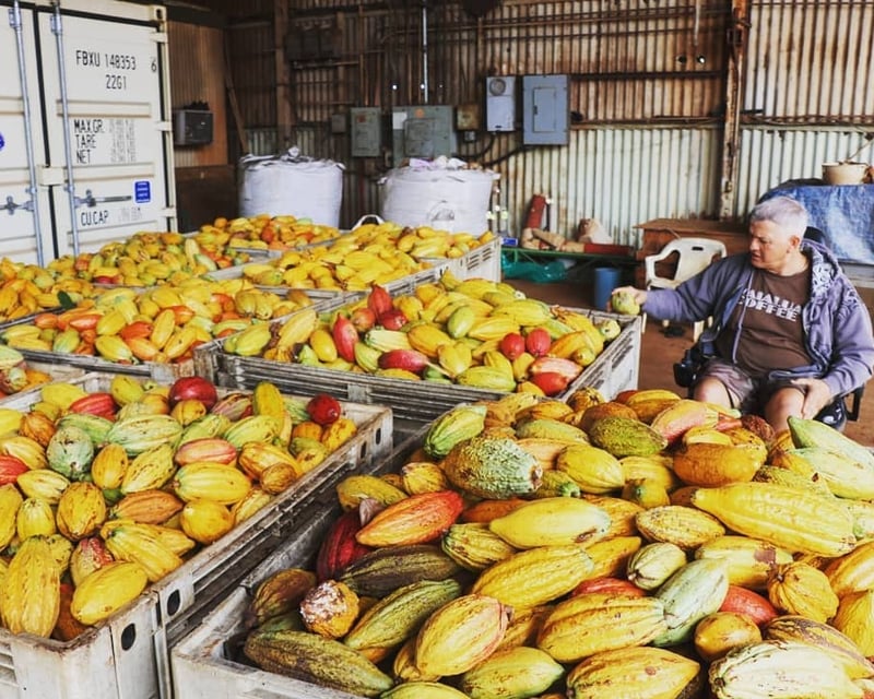 Oahu North Shore Food Tour with Waimea Falls