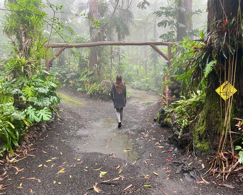 Guided 2.5-Hour Kona Cloud Forest Tour