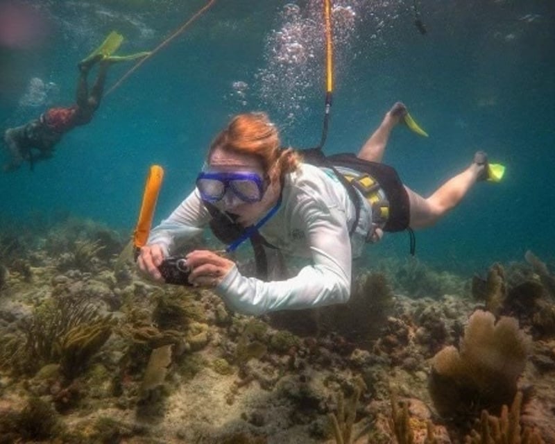 Shark Tooth Snorkel & Huka Dive Boat Tour in Venice