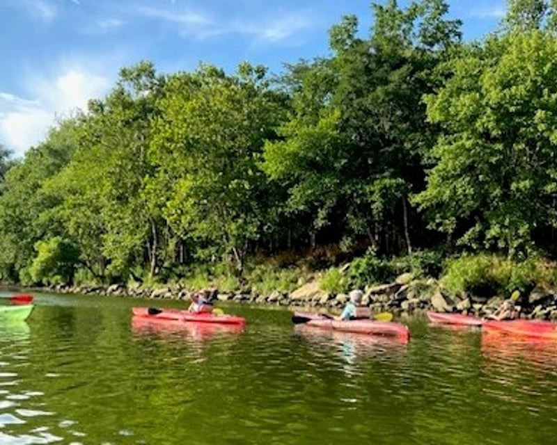 Guided Kayak Nature Tour in Washington, DC