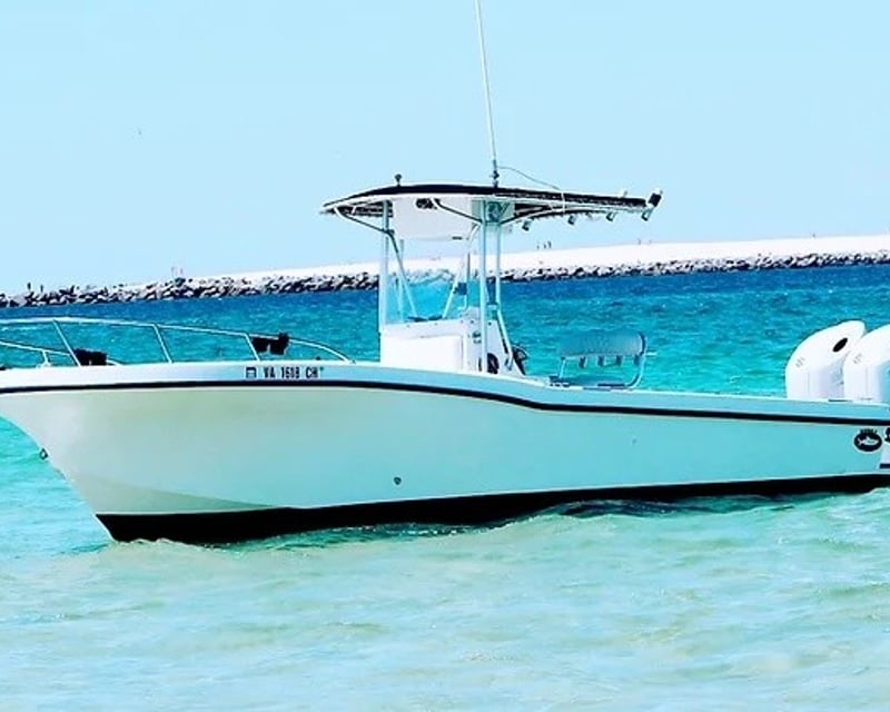 Private Shell Island Snorkeling & Dolphin Tour