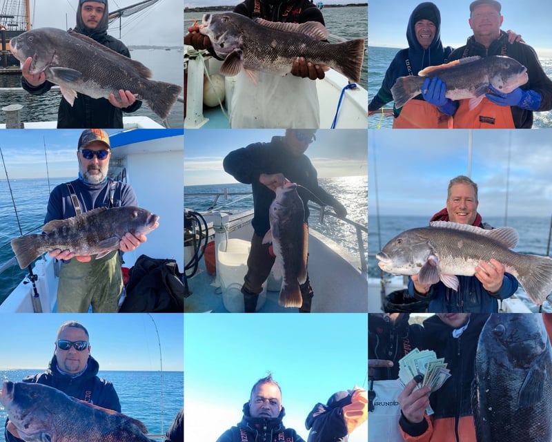 Full-Day Blackfish Fishing Trip in Newport, RI