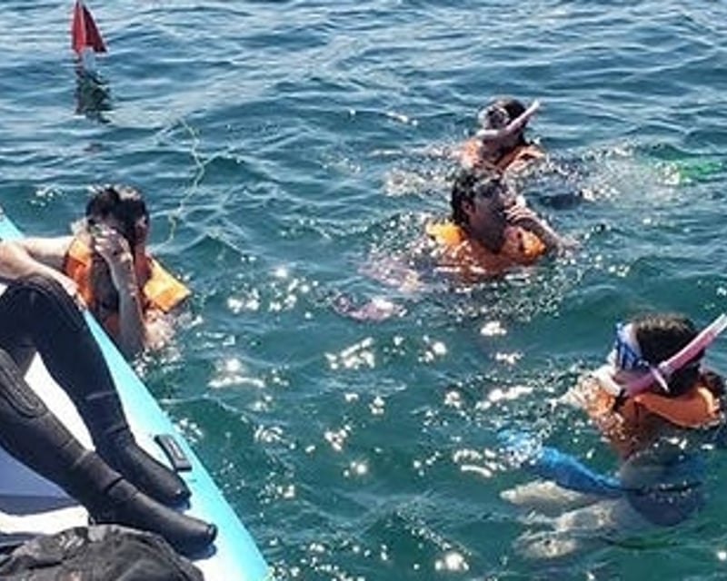 Dania Beach Pier Reef Snorkeling Tour