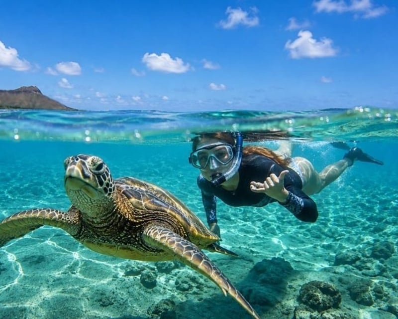 Green Sea Turtle Snorkel Tour at Turtle Canyon, Honolulu