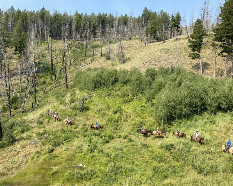 Stuart Fork Horseback Trail Ride in the Trinity Alps
