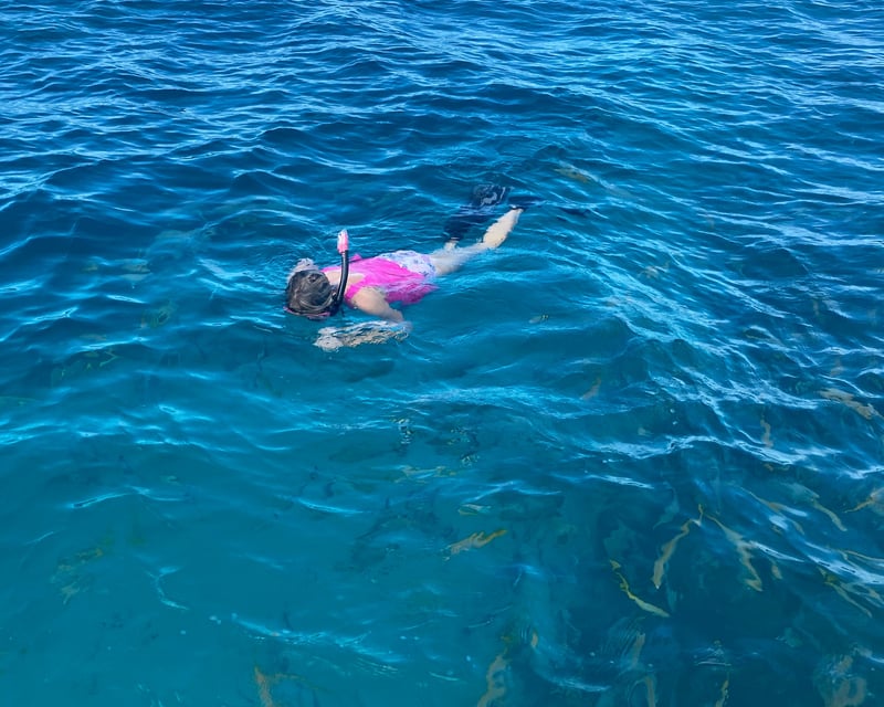 Looe Key Snorkel & Picnic Island Trip from Big Pine Key