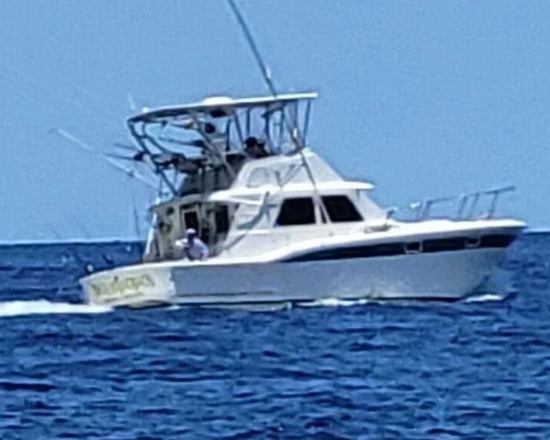 Full-Day Private Big Game Fishing Charter in Marathon