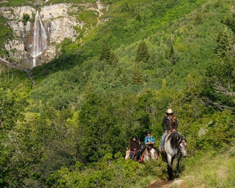 Guided 2-Hour Horseback Ride to Stewart Falls
