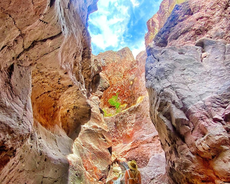 Arizona Hot Springs Guided Hike with Colorado River Dip