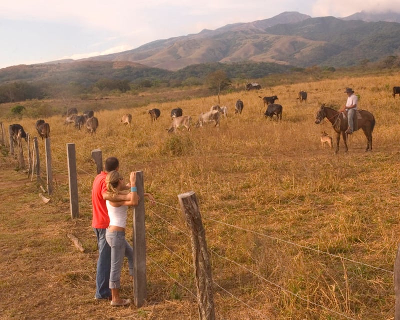 Working Ranch Cowboy Experience in Rincon de la Vieja