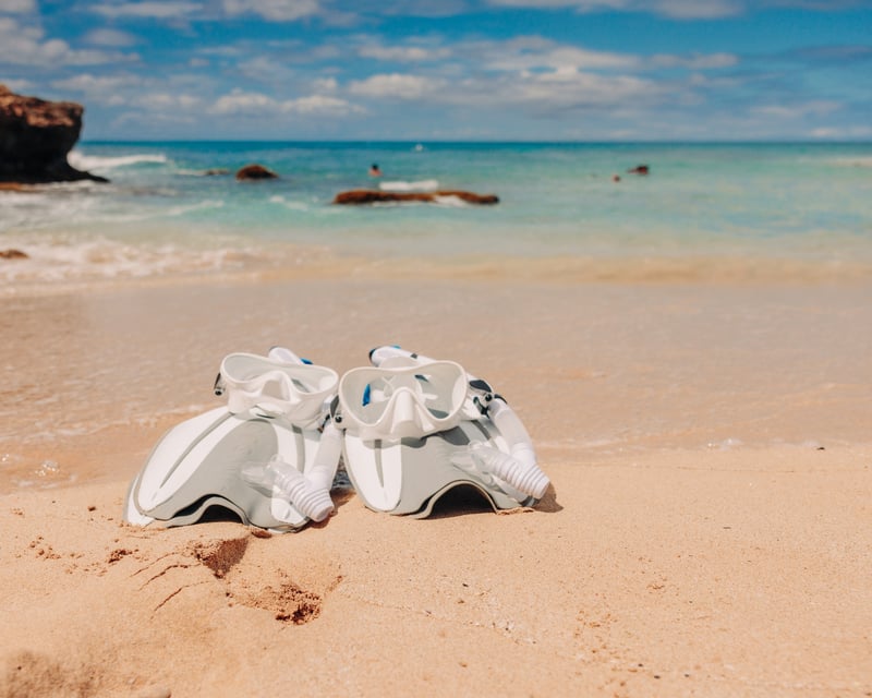 Electric Beach Snorkel Tour With Lifeguard Guide, Oahu