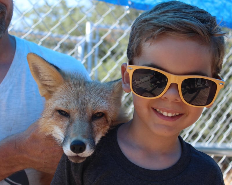 Private Canid Encounter in Santa Ysabel