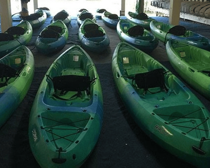 6-Hour Kayak & Paddleboard Rental in Naples