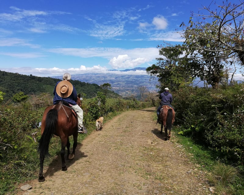 Orosí Mountain Horseback Riding Tour
