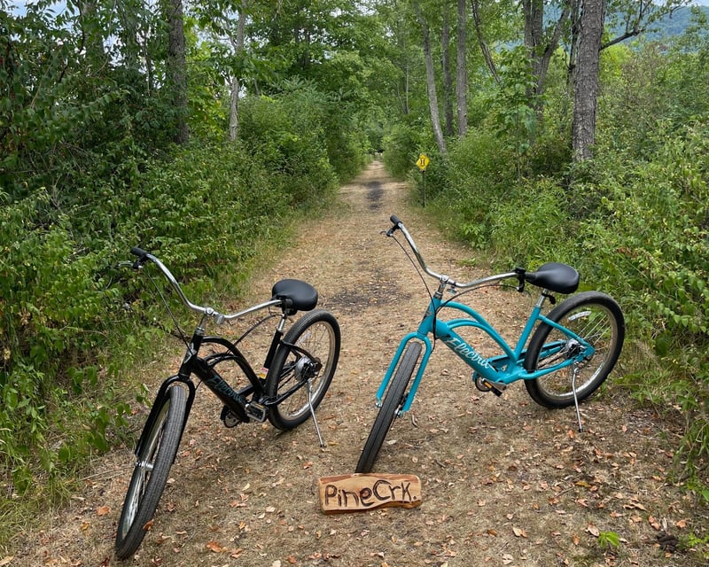 Full-Day Cruiser E-Bike Rental Near Pine Creek Rail Trail