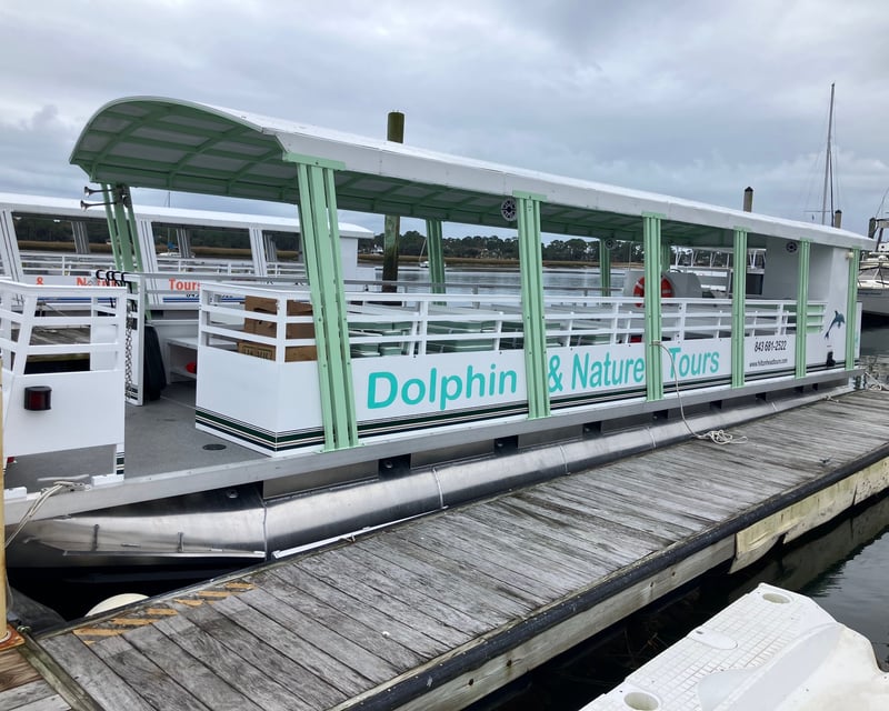 Private Dolphin & Nature Tour Charter in Hilton Head