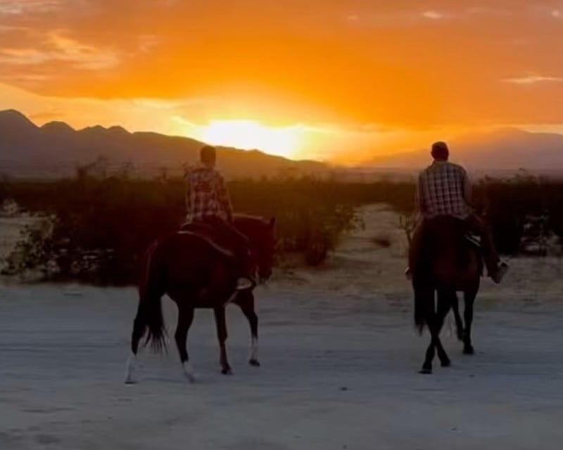 Natural Horsemanship & Basic Riding Lesson