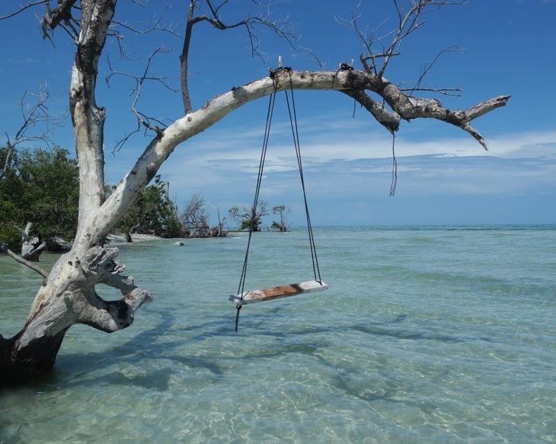 Shared Sandbar Boat Charter in Key West