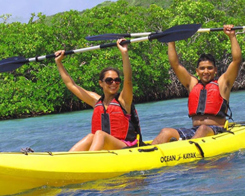 Explore Mangrove Lagoon by Kayak
