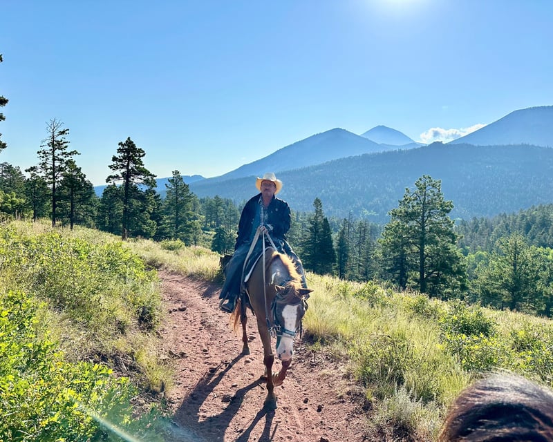 Half-Day Guided Horseback Ride in San Isabel National Forest