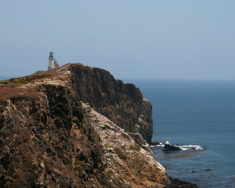 Anacapa & Santa Cruz Island Boat Tour from Oxnard
