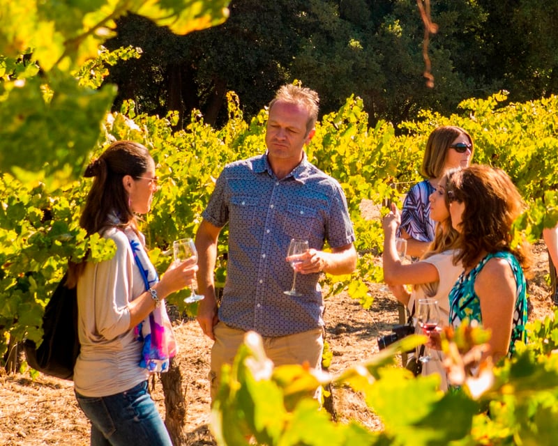 Half-Day Sonoma Wine Tour from San Francisco