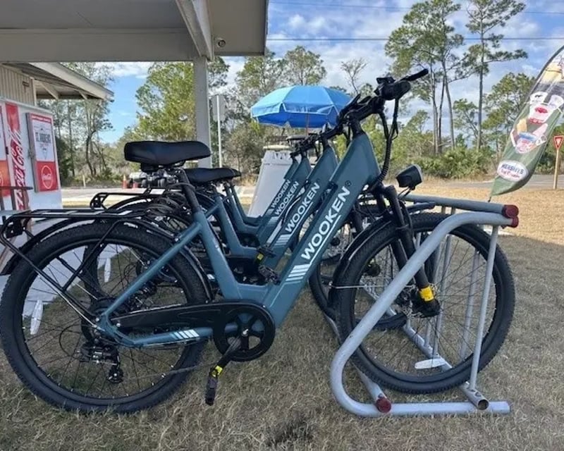 Ride an E-Bike in St. Andrews State Park (4 Hours)