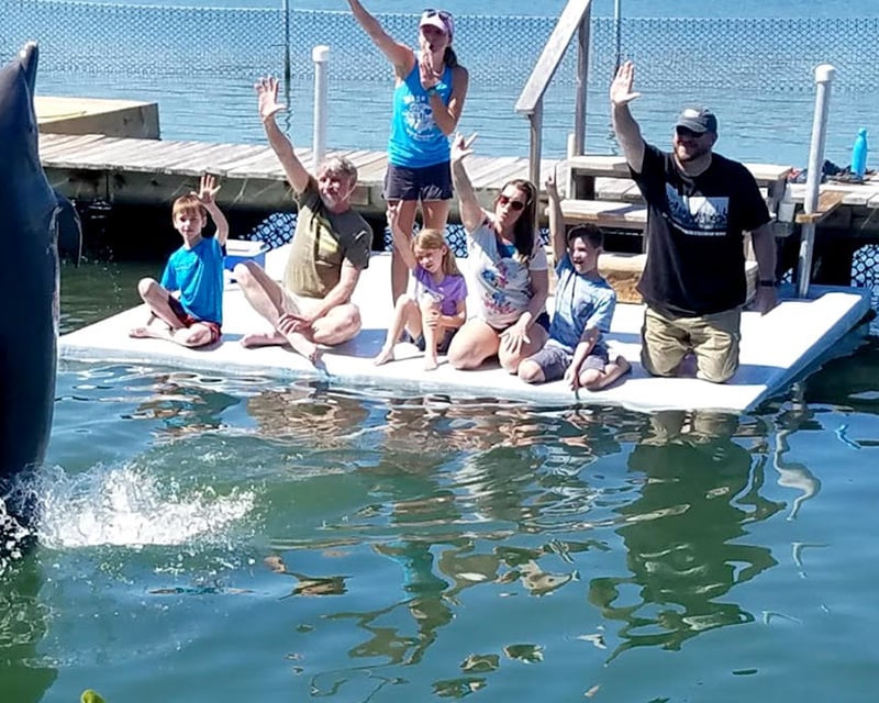 Key West Dolphin Research Center Guided Tour