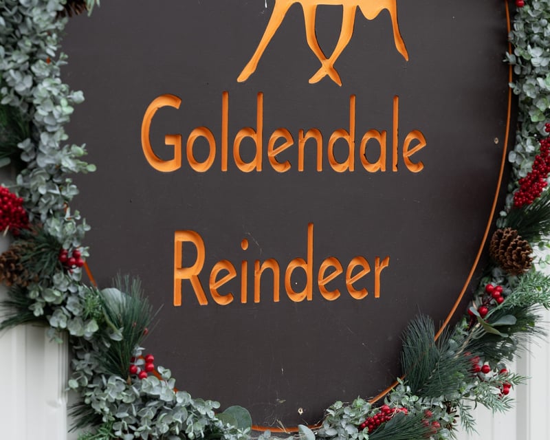 Christmas on the Reindeer Farm with Santa in Goldendale