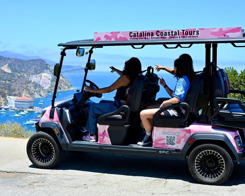 1.5-Hour Guided Golf Cart Tour of Avalon
