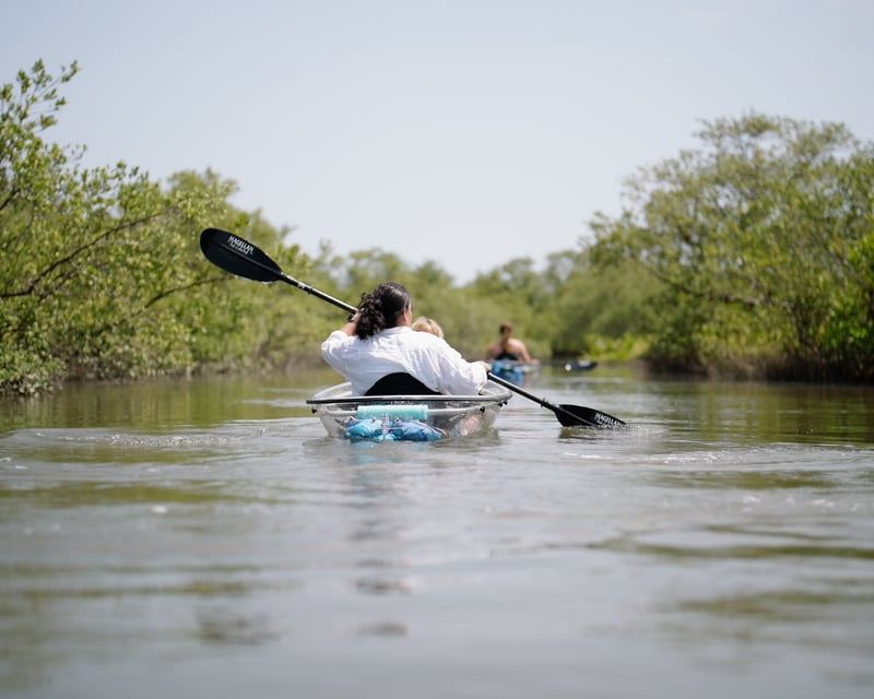 Clear Kayak Mangrove Tour in New Smyrna Beach