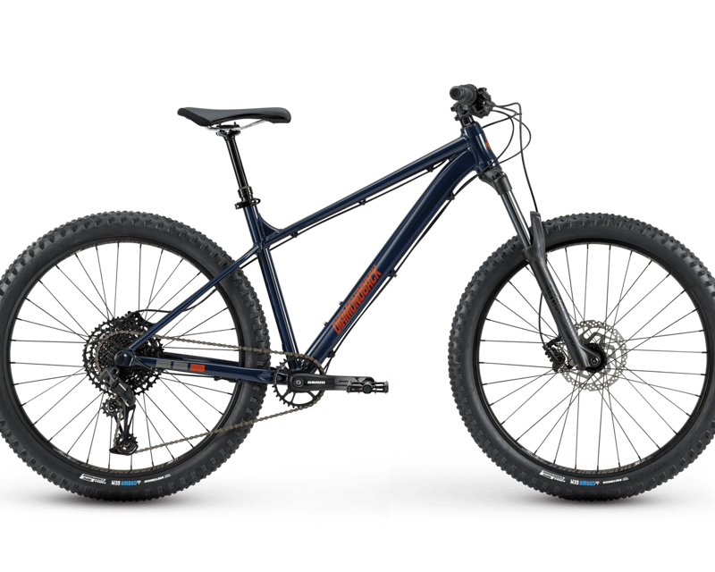 Full-Day Tahoe Mountain Bike Rental