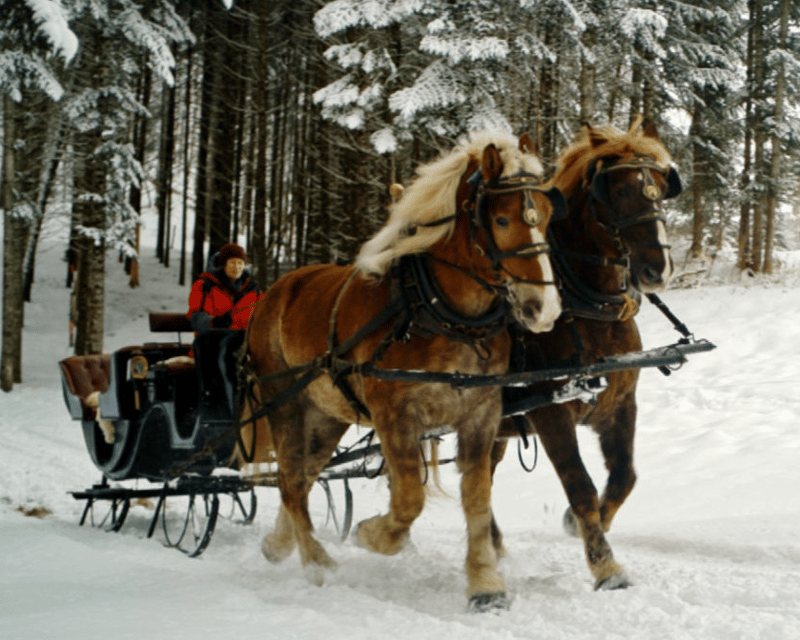 Private Sleigh Ride in Johnson