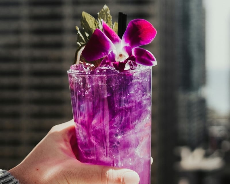 Cocktail-Making Class in Chicago With 2 or 3 Cocktails