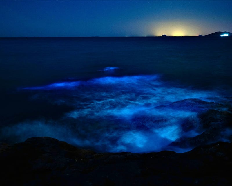 Bioluminescence Night Kayak Tour on Tomales Bay