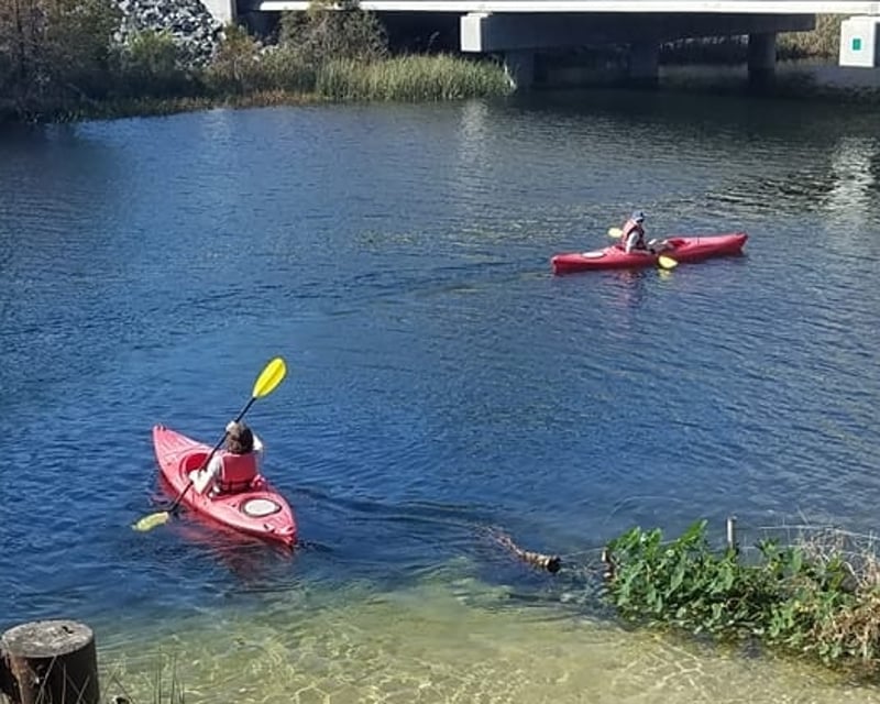 6-Mile Wakulla River Kayak, Canoe & SUP Rental