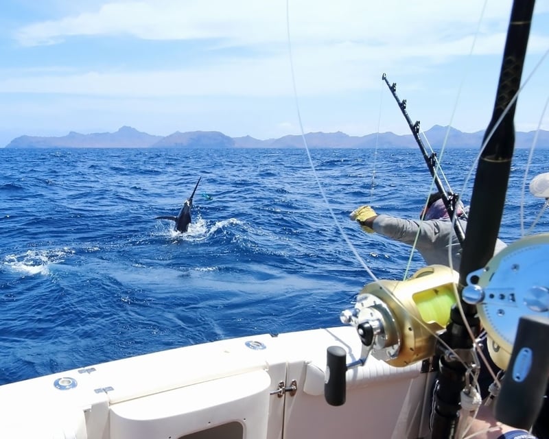 Miami Beach Big Game Fishing Charter